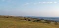 07 Dartmoor View